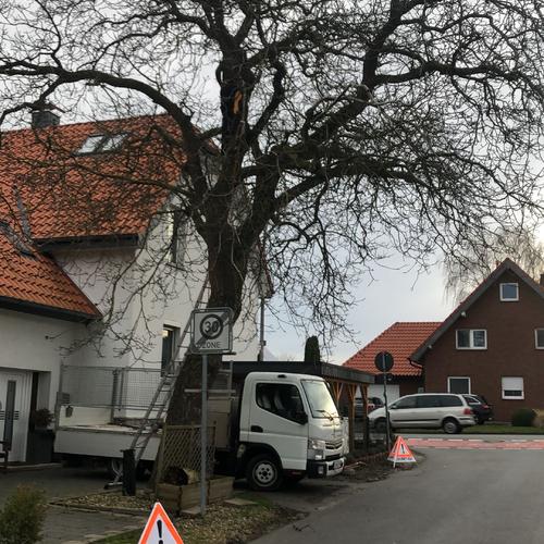 Galerie von Lee Schäfermeier Garten- und Landschaftsbau